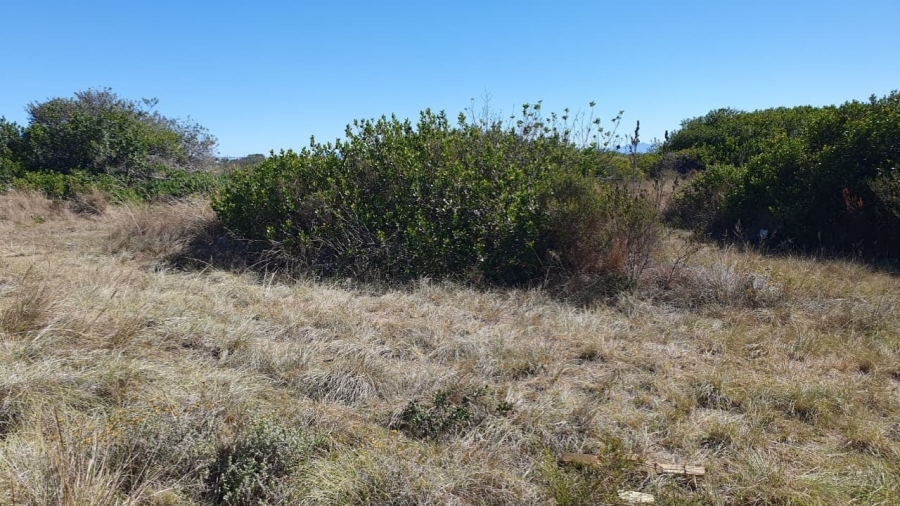 3 Bedroom Property for Sale in Dana Bay Western Cape